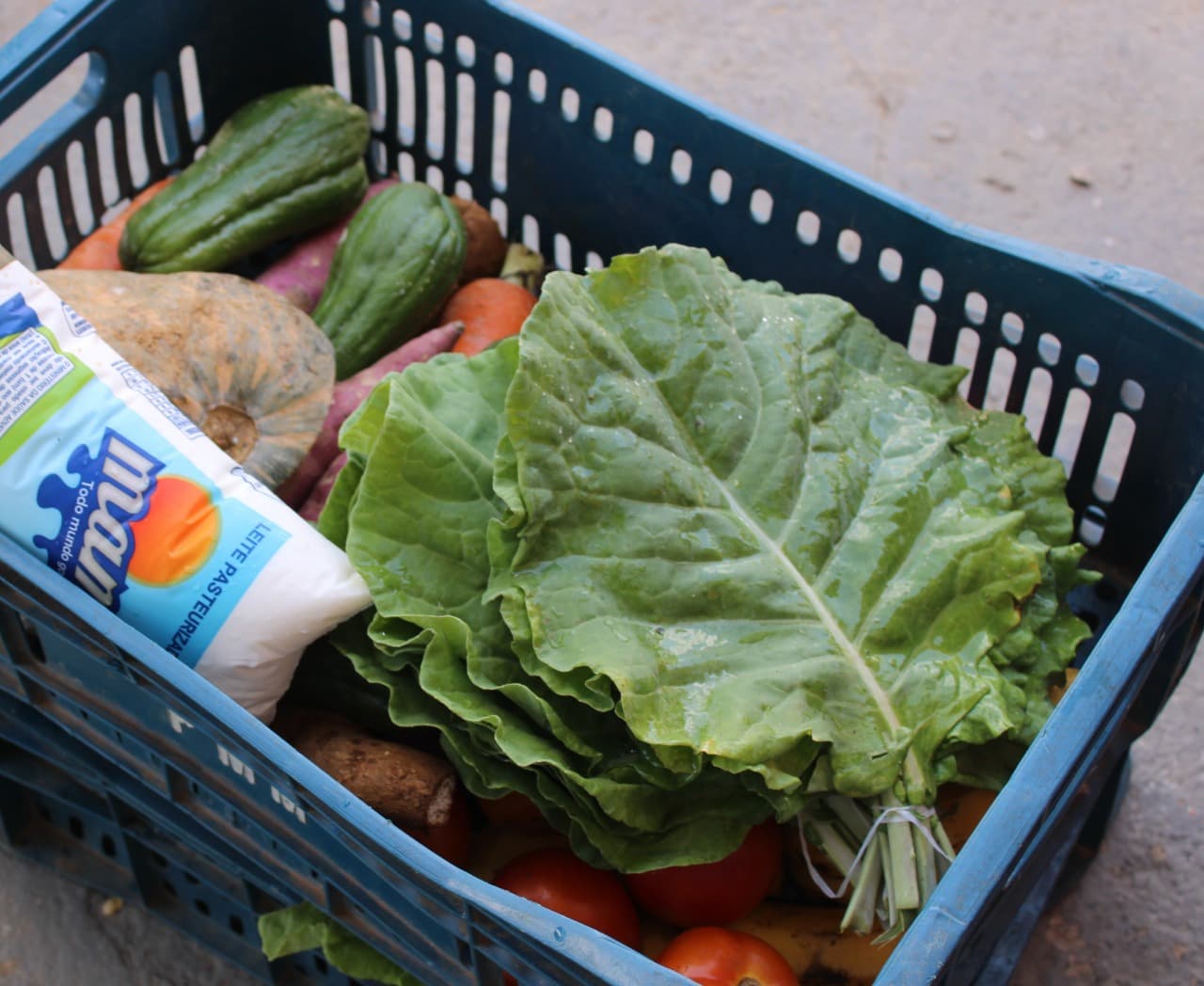 Cesta Cheia amplia distribuição de alimentos a partir de março